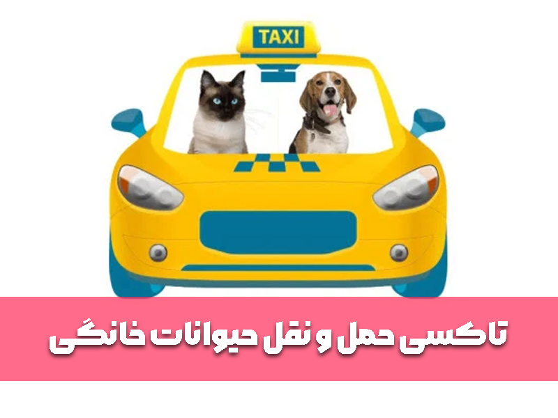 تاکسی حمل و نقل حیوانات خانگی